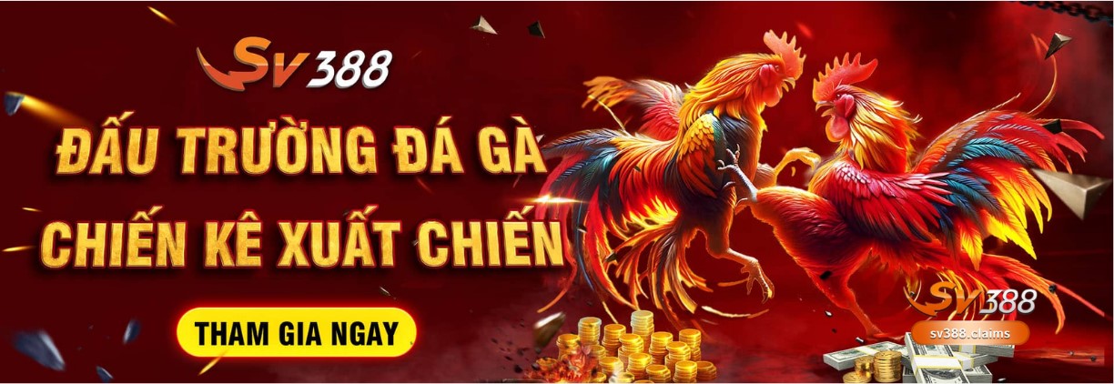 Tham gia ngay SV388 hôm nay để nhận quà khuyến mãi mỗi ngày